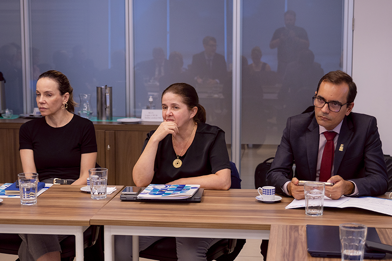 007 Reuniao ABRUC MEC